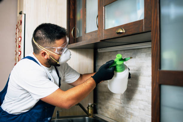 Best Wildlife Control Services  in Bay Minette, AL