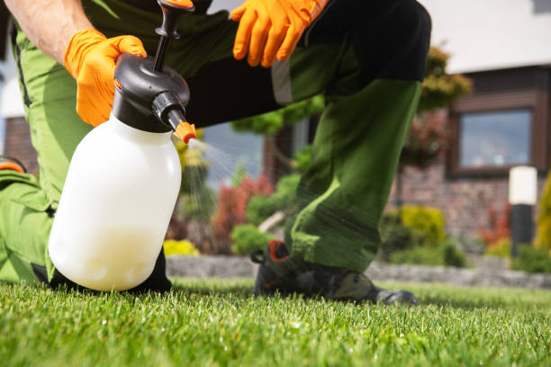 Flea Control Services in Bay Minette, AL