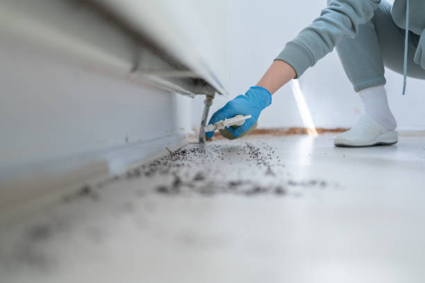 Best Best Pest Control Companies  in Bay Minette, AL